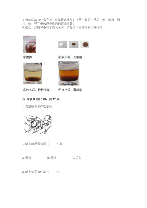教科版一年级下册科学期末测试卷附答案【考试直接用】.docx