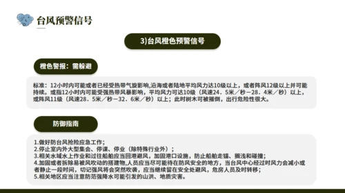 台风来袭，防台风安全教育培训通用PPT模版