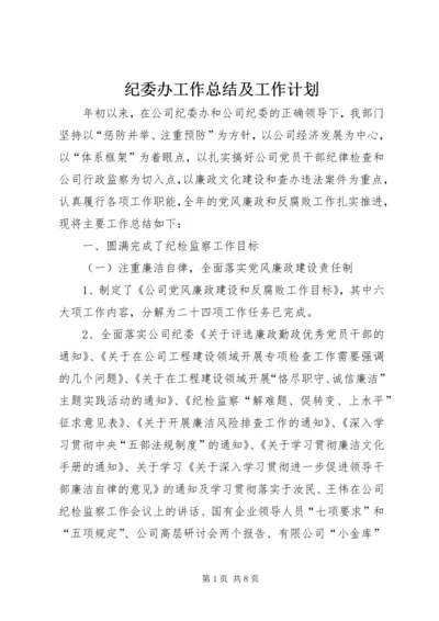 纪委办工作总结及工作计划.docx