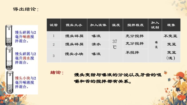 人教版（新课程标准）七年级下册4.2.2 消化和吸收课件(共22张PPT)