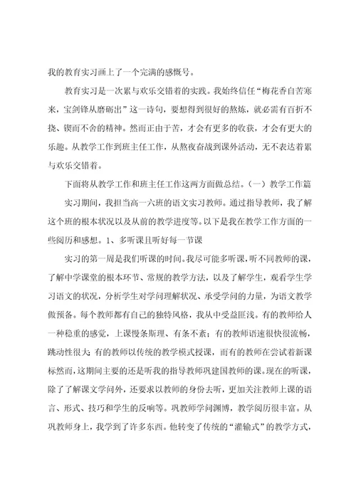 大学生高中语文实习总结