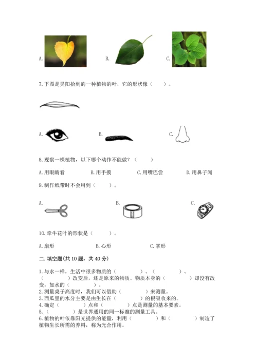 教科版一年级上册科学期末测试卷带答案（新）.docx