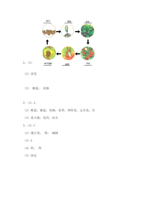 教科版四年级下册科学第一单元《植物的生长变化》测试卷（考点梳理）.docx