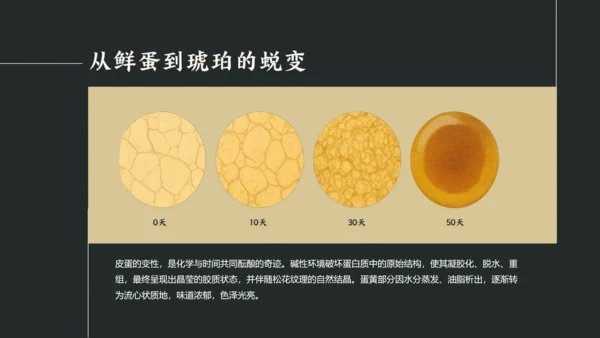 黑白简约中国美食皮蛋介绍PPT模板