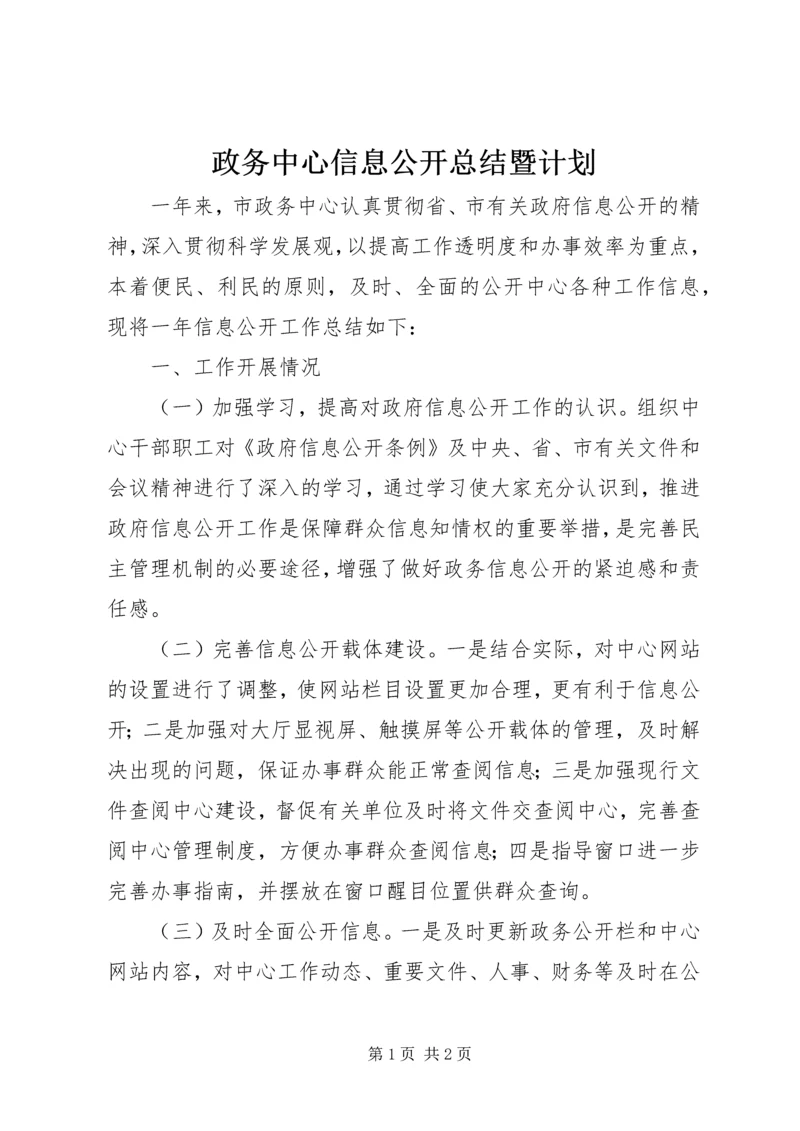 政务中心信息公开总结暨计划_1.docx