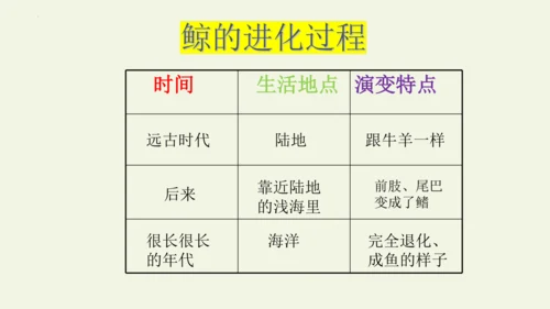 部编版 五年级语文上册第五单元习作例文 《鲸》（课件）