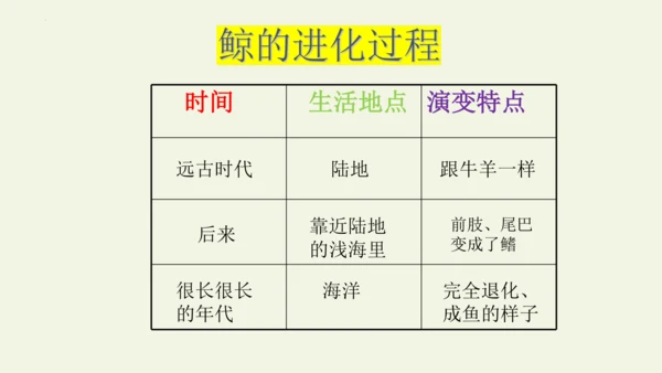 部编版 五年级语文上册第五单元习作例文 《鲸》（课件）