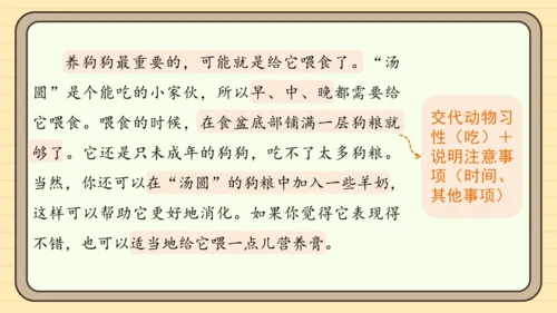 统编版语文四年级下册习作：我的动物朋友（课件）