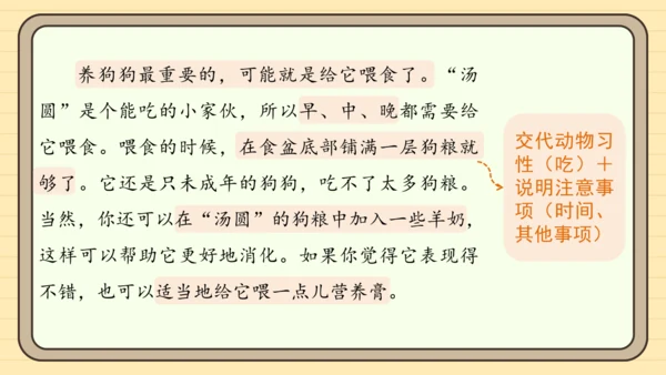 统编版语文四年级下册习作：我的动物朋友（课件）