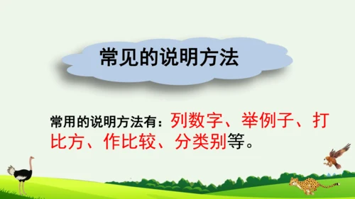 7 什么比猎豹的速度更快 第二课时 课件