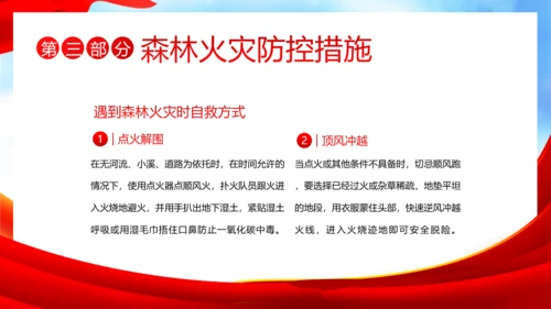 3月21日世界森林日森林火灾森林防火主题班会PPT