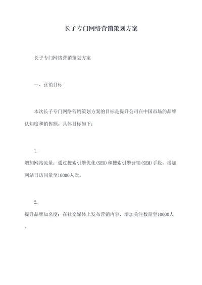 长子专门网络营销策划方案