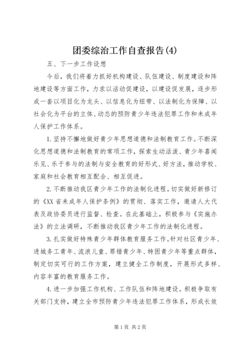 团委综治工作自查报告(4).docx