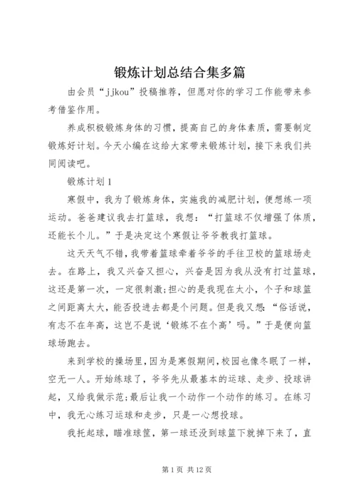 锻炼计划总结合集多篇.docx