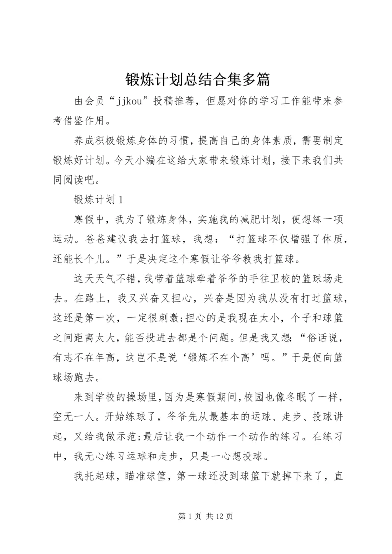 锻炼计划总结合集多篇.docx