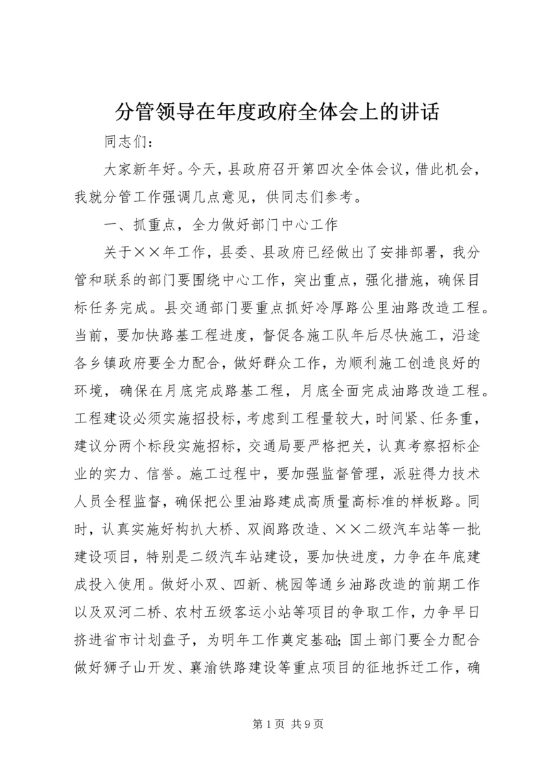 分管领导在年度政府全体会上的讲话.docx