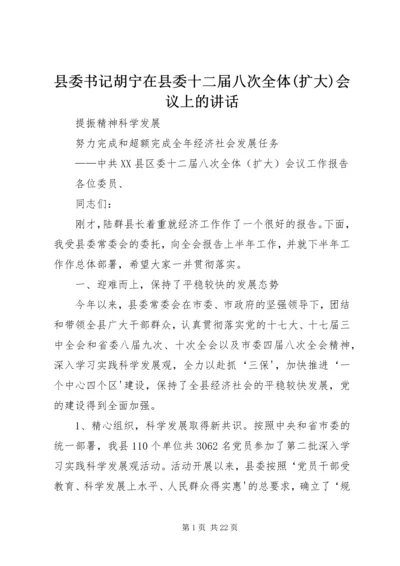 县委书记胡宁在县委十二届八次全体(扩大)会议上的讲话.docx