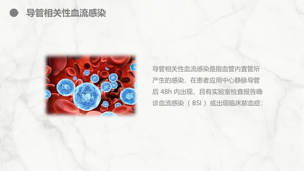 集束化干预在静脉导管相关血流感染的应用PPT模板