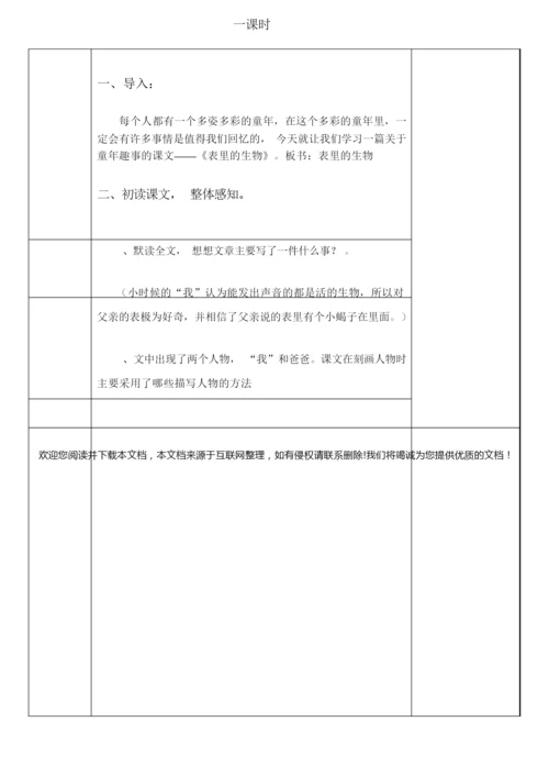 《表里的生物》教案055254.docx