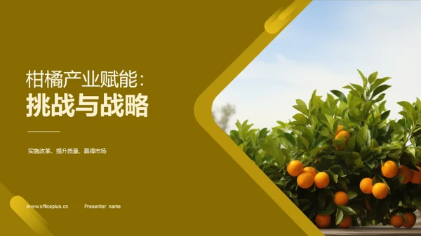 柑橘产业赋能：挑战与战略