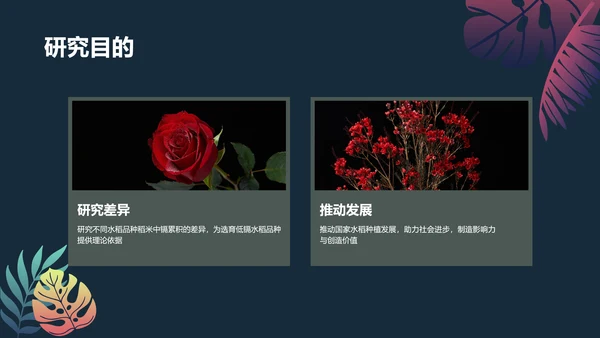 手绘插画风植物与污染研究总结报告