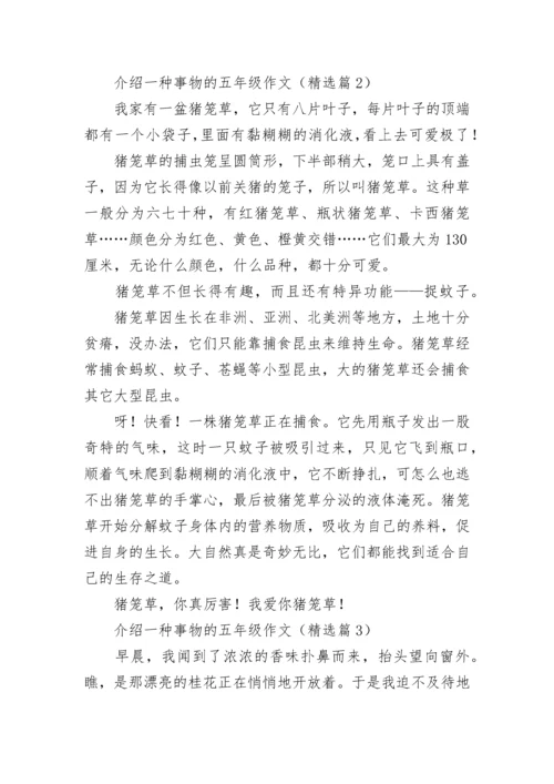 介绍一种事物的五年级作文（精选7篇）.docx