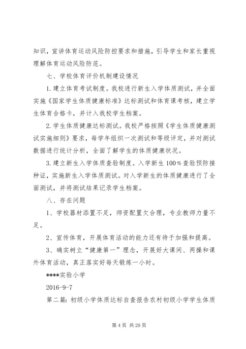 体质达标自查报告.docx