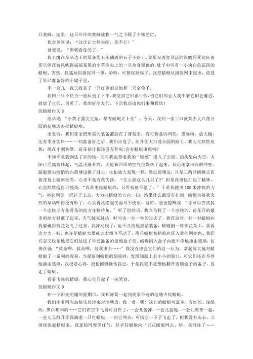 精捉蜻蜓作文10篇