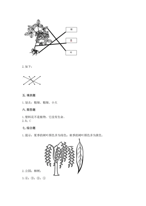 教科版科学一年级上册第一单元《植物》测试卷附答案（a卷）.docx