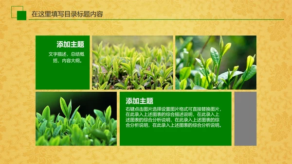 中国茶文化茶道展示茶知识PPT模板
