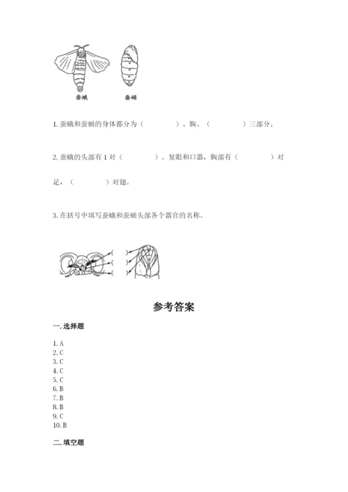 教科版科学三年级下册 期末测试卷及答案（最新）.docx