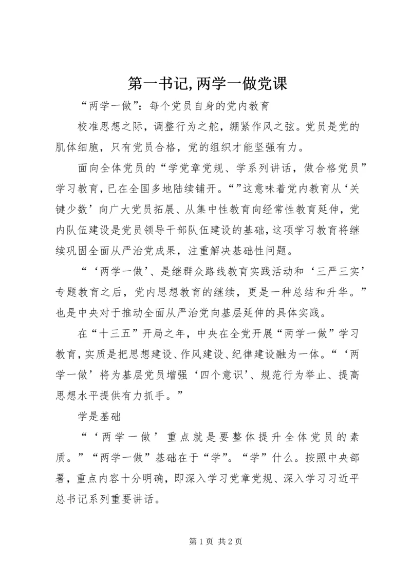 第一书记,两学一做党课 (5).docx