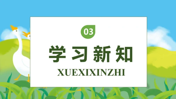 【核心素养】部编版语文四年级下册-15.白鹅 第1课时（课件）