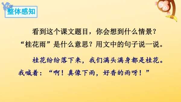 3 桂花雨   课件