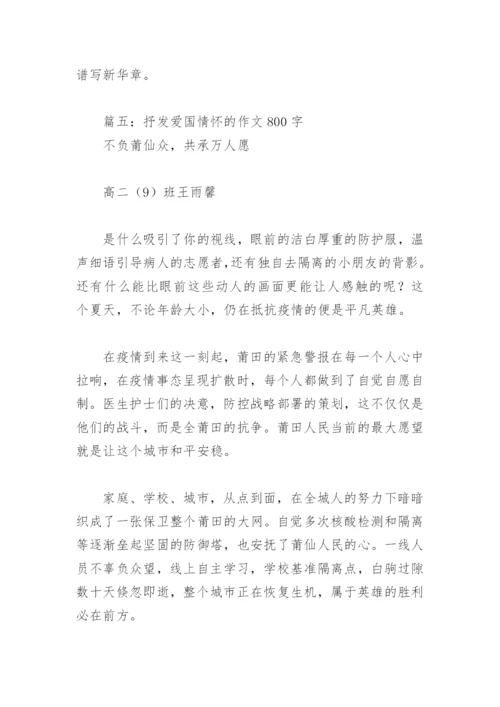 抒发爱国情怀的作文800字(精选12篇).docx