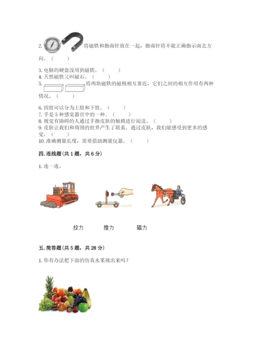 教科版小学科学二年级下册 期末测试卷【黄金题型】.docx