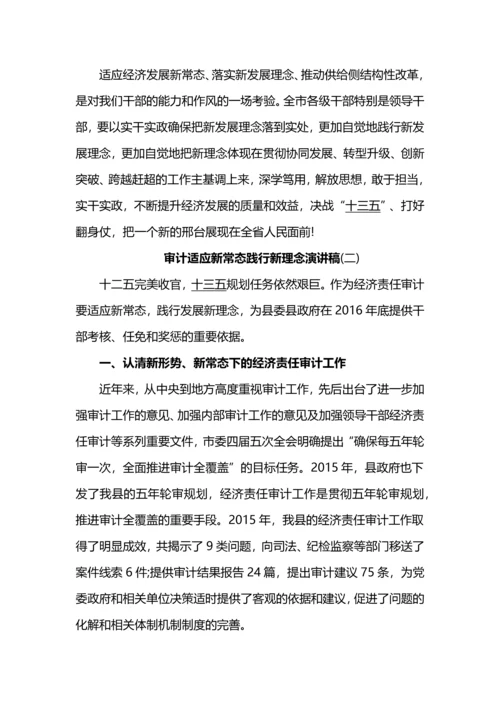 审计适应新常态践行新理念演讲稿.docx