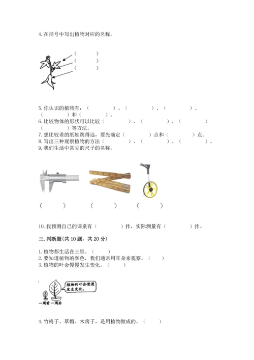 教科版科学一年级上册期末测试卷（全优）word版.docx