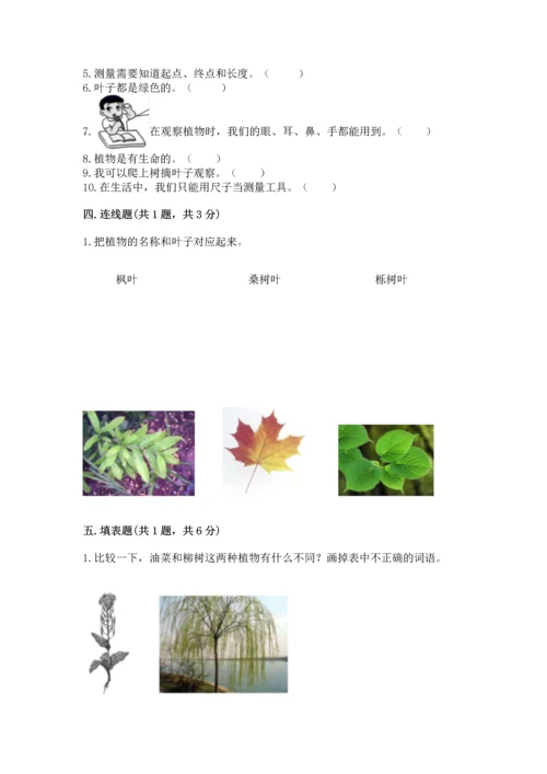 教科版一年级上册科学期末测试卷附参考答案（培优a卷）.docx