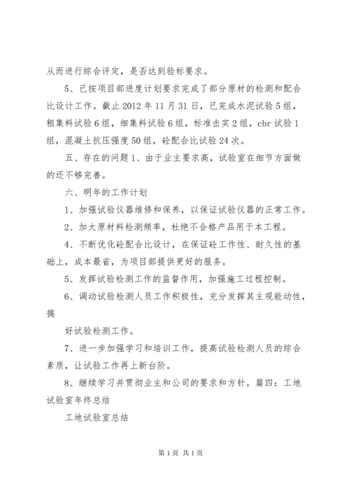 工地试验室主任工作总结.docx