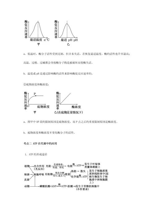 2023年高考生物知识点之细胞的代谢.docx