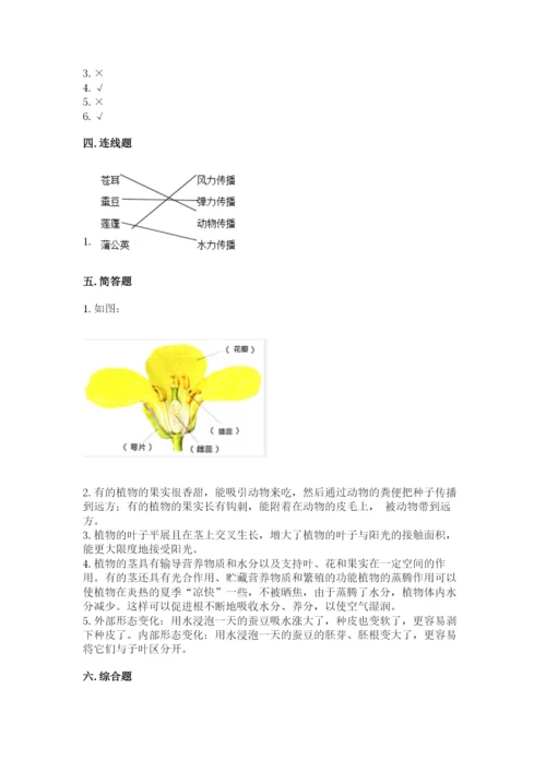 科学四年级下册第一单元《植物的生长变化》测试卷重点.docx