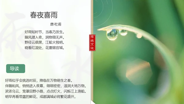 春天雨水绿叶晨露二十四节气通用PPT课件
