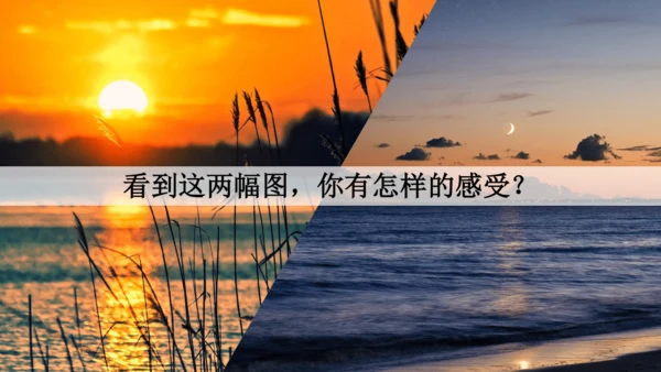 2024年秋部编版四年级上册9.《古诗三首》（课件 ）