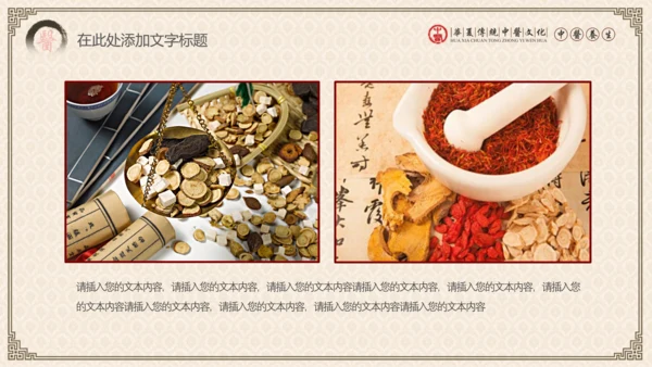 中医学养生保健医院中医文化中草药PPT