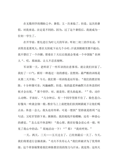 初中新生的军训心得体会范文.docx