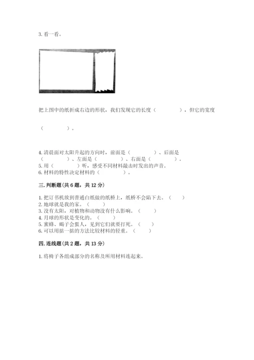 教科版科学二年级上册《期末测试卷》（考点梳理）.docx
