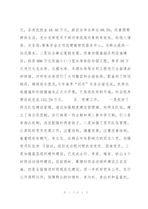 镇政府第三季度工作总结与计划.docx