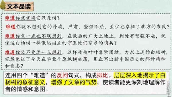 15 白杨礼赞 课件
