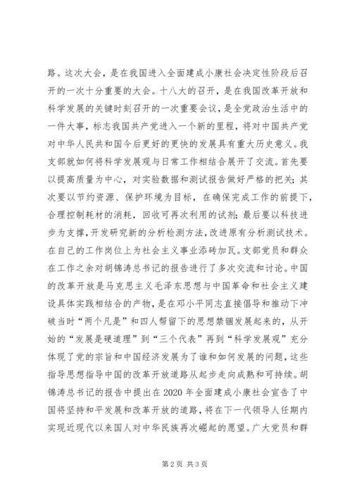 党支部学习十八大报告活动总结.docx